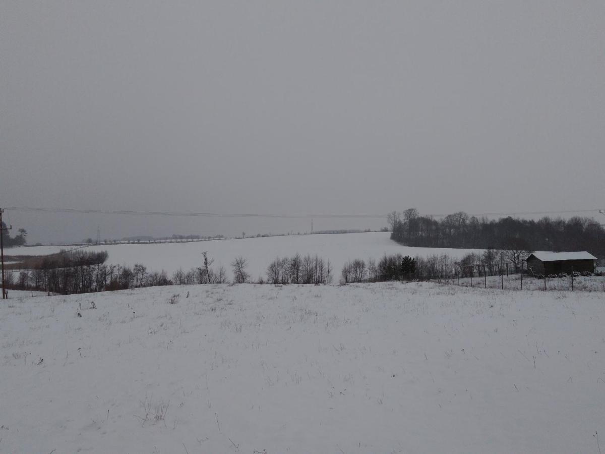 Domek Bialojany Exteriér fotografie