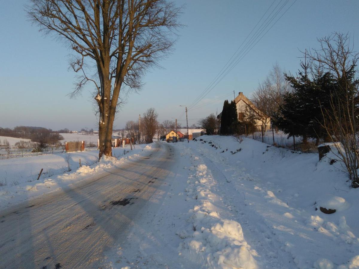 Domek Bialojany Exteriér fotografie