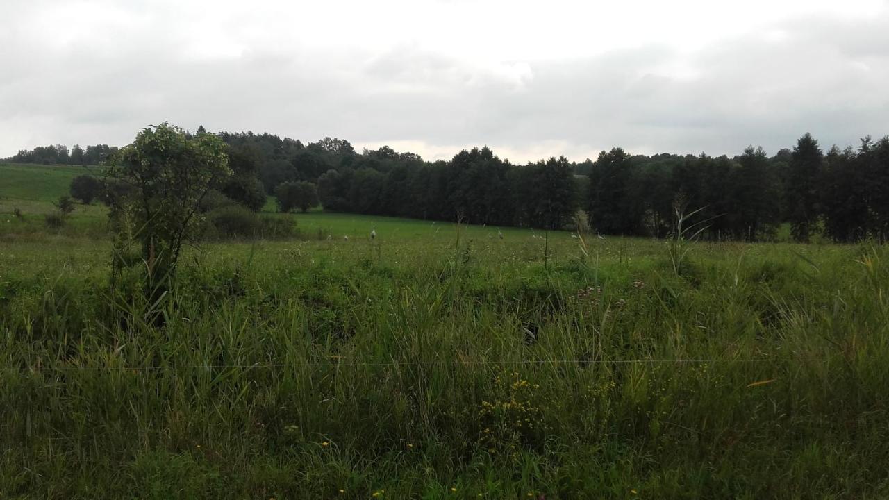 Domek Bialojany Exteriér fotografie